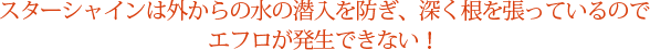 他のコーティングとはココが違う！